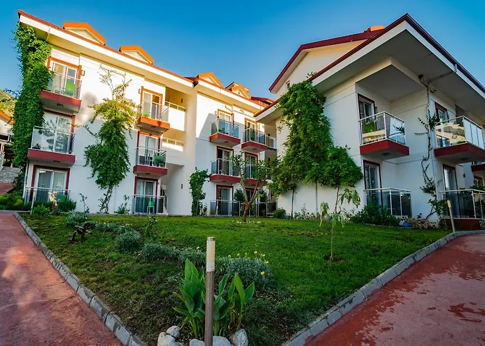 Sunshine אולודניץ